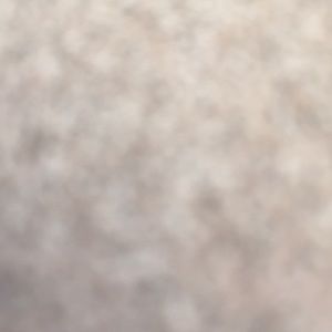 Meet your Posher, Gio